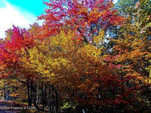 TH Lot 001 Elderberry Lane, Hazle Twp, PA 18202