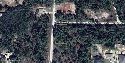 17444 Nighthawk Road, Brooksville, FL 34614