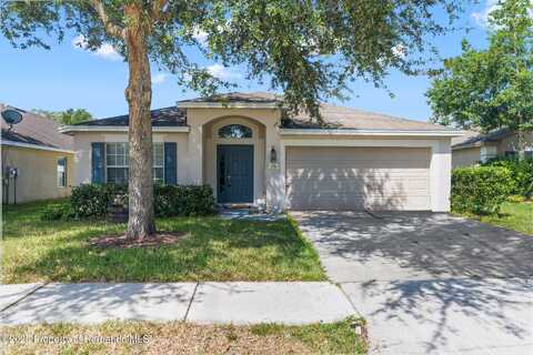 779 Nodding Shade Drive, Brooksville, FL 34604