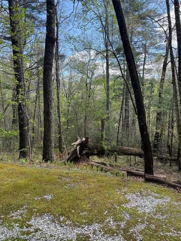 22 Woodward Trail, Sapphire, NC 28774