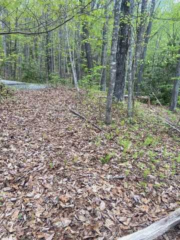 45 Wild Cherry Court, Sapphire, NC 28774