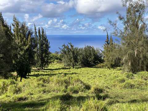 44-43 PAAUHAU ST, HONOKAA, HI 96727