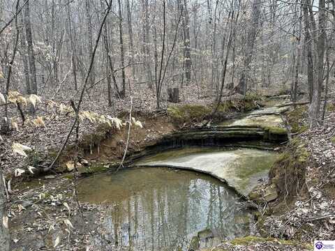 LOT 13 & 16 Saltsman, Leitchfield, KY 42754