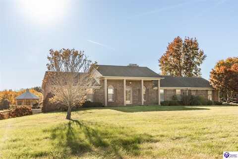 34 Owsley Road, Rineyville, KY 40162