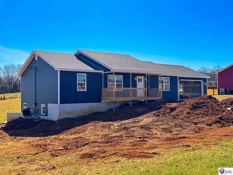 256 Reuben lane, Guston, KY 40142