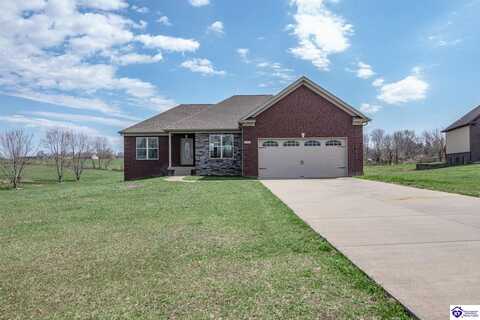 32 Wellesly Court, Cecilia, KY 42724