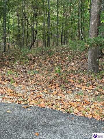 Lot 971 Penny Royal Lane, Brandenburg, KY 40108