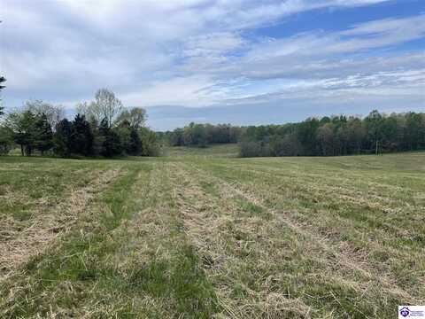 TRACT 10 Webster Road, Campbellsville, KY 42718