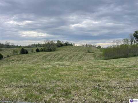 Tract 9 Webster Road, Campbellsville, KY 42718