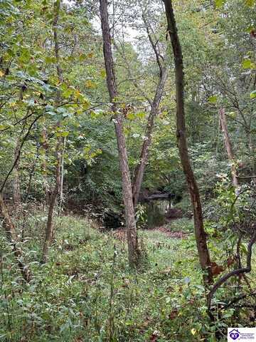 155 Foggy Bottom Lane, Garfield, KY 40140