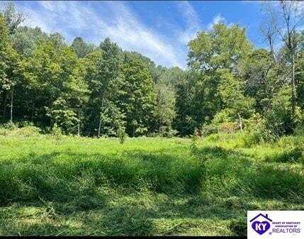 799 Cherokee Trail Lane, Custer, KY 40115