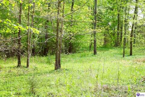 10051 Hammonsville Road, Bonnieville, KY 42713