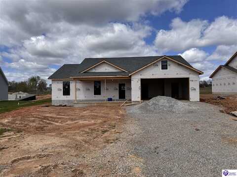 58 Robert Allen Lane, Brandenburg, KY 40108