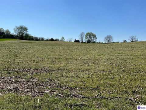 Tract 7 Charlie Rhea Road, Greensburg, KY 42743