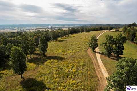 tract 2 Millerstown Road, Upton, KY 42784