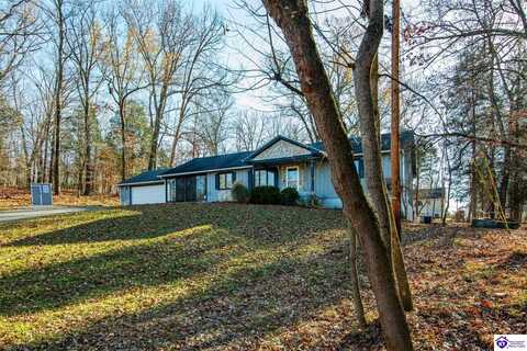 41 Raspberry Court, Brandenburg, KY 40108