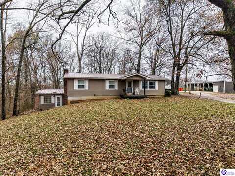 803 Duggin Switch Road, Vine Grove, KY 40175