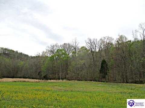 Lot 38 Sulphur Lick Road, New Hope, KY 40052