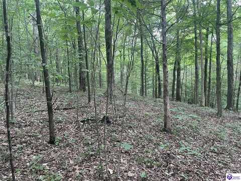 0 Barton Ferry Road, Caneyville, KY 42721