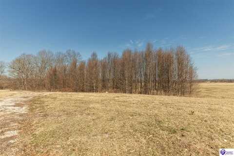 Lot 11 Otter Creek Road, Vine Grove, KY 40175