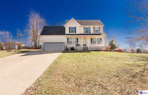 393 Blake Drive, Rineyville, KY 40162