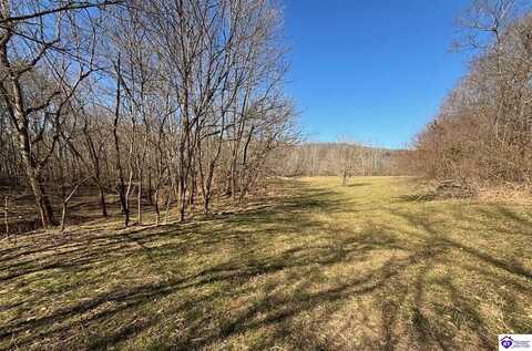 1087 Basham Allen Lane, Harned, KY 40144