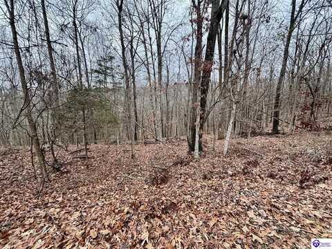 Lot 108 Sunnyview Road, Brandenburg, KY 40108