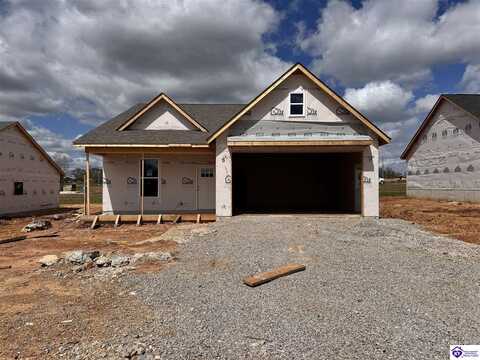 36 Robert Allen Lane, Brandenburg, KY 40108