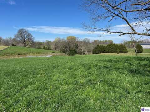 Tract 8A/8B Charlie Rhea Road, Greensburg, KY 42743