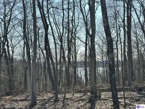0 Pikes Ridge Road, Columbia, KY 42728
