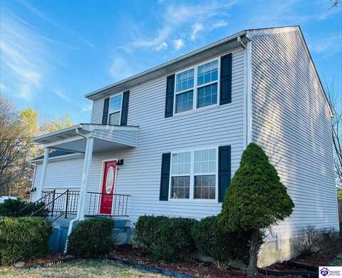 223 Lea Court, Rineyville, KY 40162