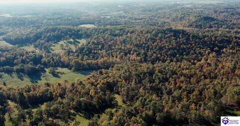 TRACT 3 Roy Road, Eastview, KY 42732