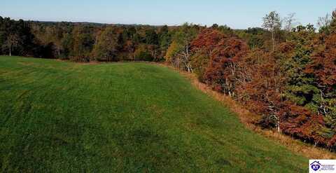 TRACT 2 Roy Road, Eastview, KY 42732