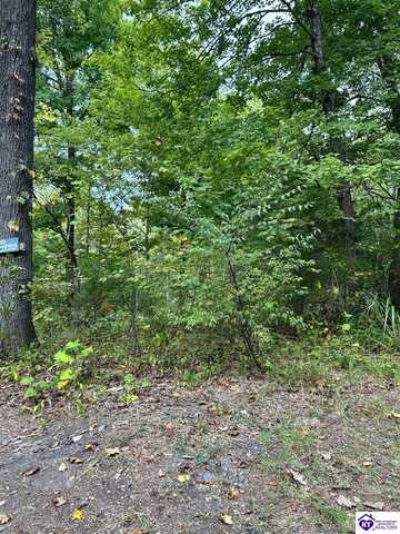 Big Chief Ln, Rineyville, KY 40162