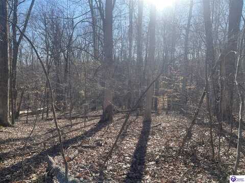 1848 Levelwoods Road, Buffalo, KY 42716