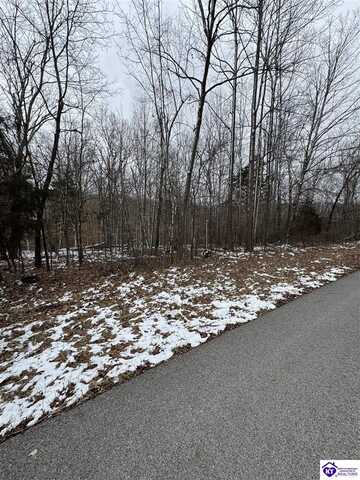 Limp Road, Big Clifty, KY 42712