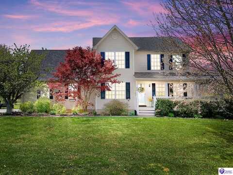 322 Lavista Drive, Rineyville, KY 40162