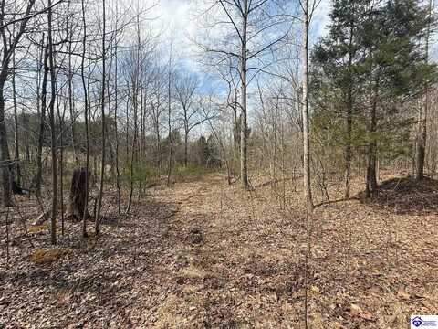 2867 Liberty Road, Battletown, KY 40104
