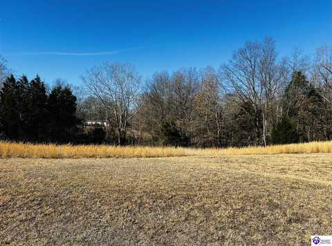 12 Browning Drive, Vine Grove, KY 40175