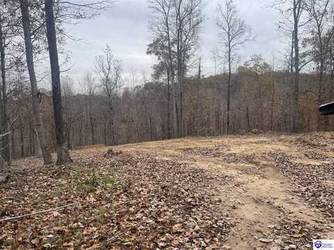 Parcel D Fuller Harding Road, Campbellsville, KY 42718