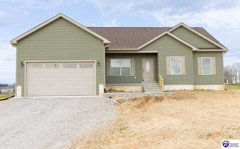 99 Joyce Court, Guston, KY 40142