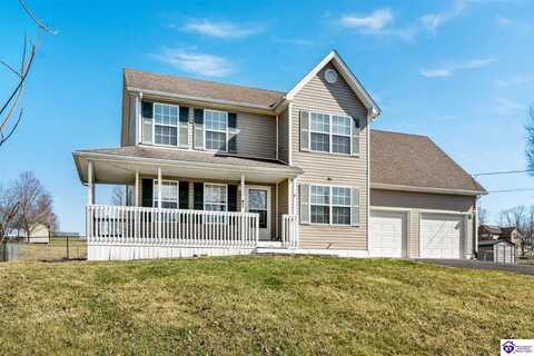 47 Delaney Court, Rineyville, KY 40172