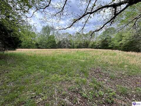 1415 Sipes School Road, Horse Branch, KY 42349