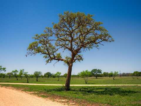 Tbd Wine Trail Drive, Johnson City, TX 78636