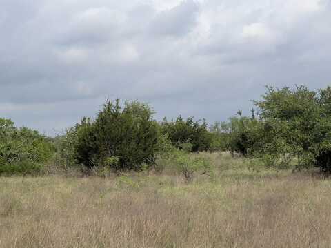 4.78 Acres FM 243, Bertram, TX 78605