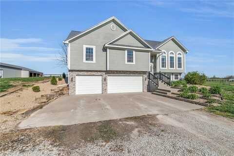 6095 SE Dittoe Lane, Holt, MO 64048