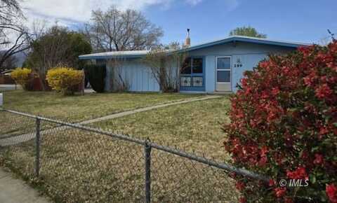 299 Meadow Ln, Bishop, CA 93514