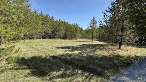 Tbd Salmonberry Rd- Parcel 17, Orofino, ID 83554