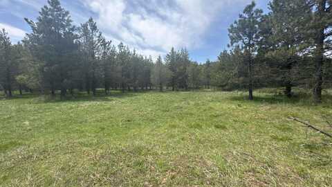 Tbd Parcel 17-Bandmill Heights, Orofino, ID 83554