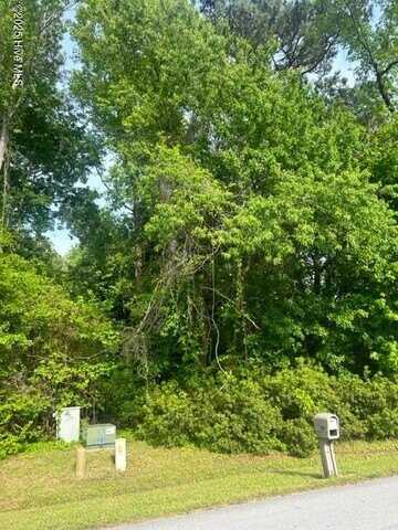 154 Barrington Ridge, Bogue, NC 28570